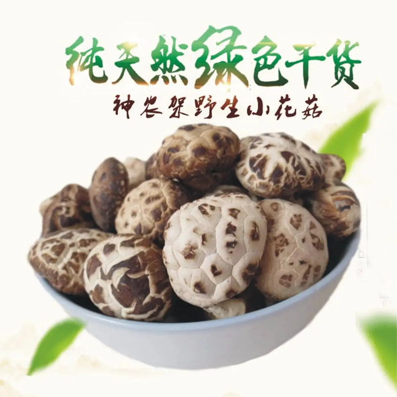 神农架小花菇